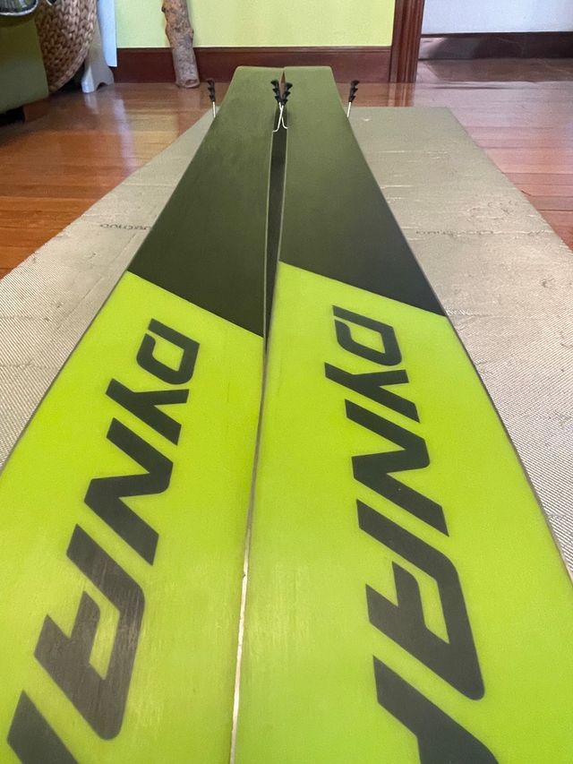 Equipo Esquís de travesía Dynafit Free 97