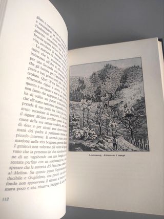 La Vocazione Teatrale di Guglielmo Meister