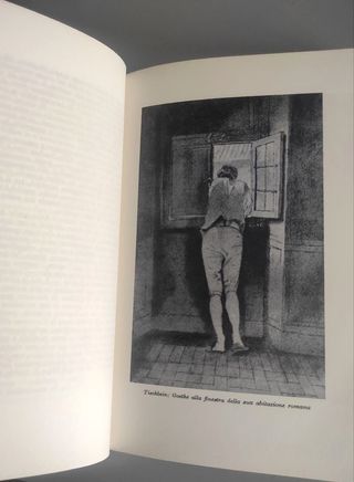 La Vocazione Teatrale di Guglielmo Meister