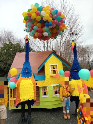 Disfraz Pájaro Disney Artesanal Carnaval