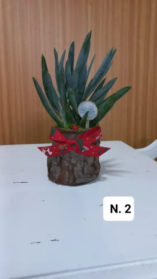 Plantas em tronco decoradas