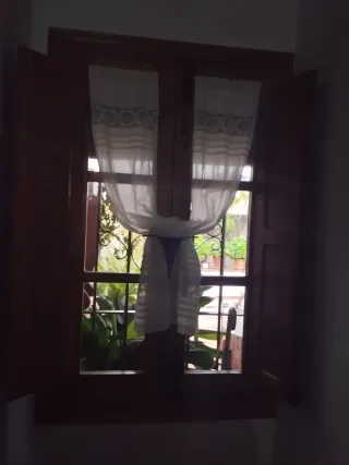 Pack de ventanas madera pino