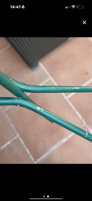 Bastón con asiento plegable verde