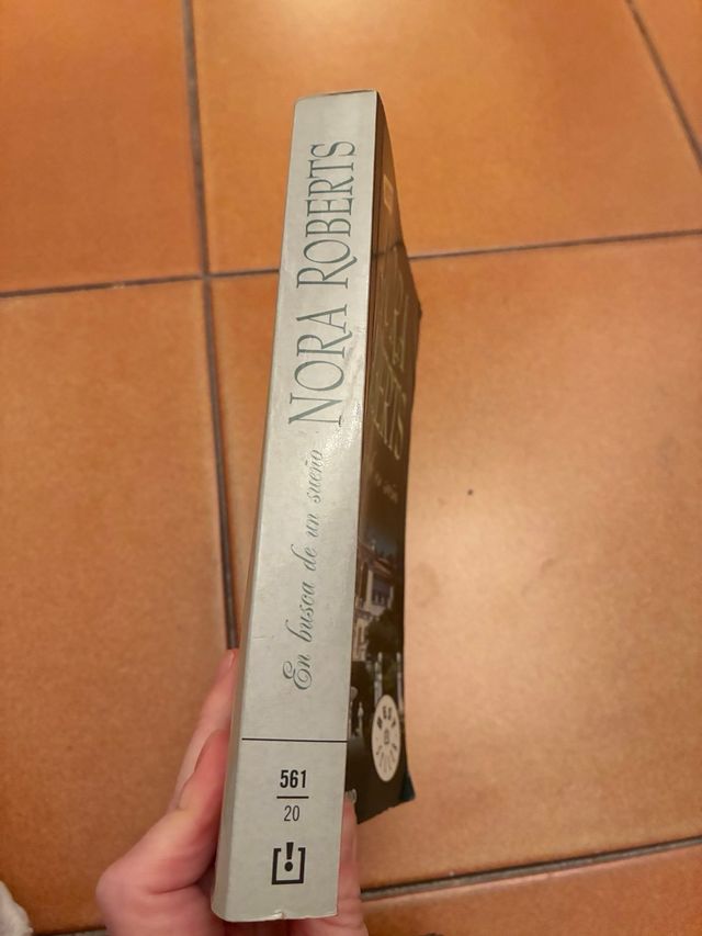 En busca de un sueño (Trilogía de los Sueños 3)