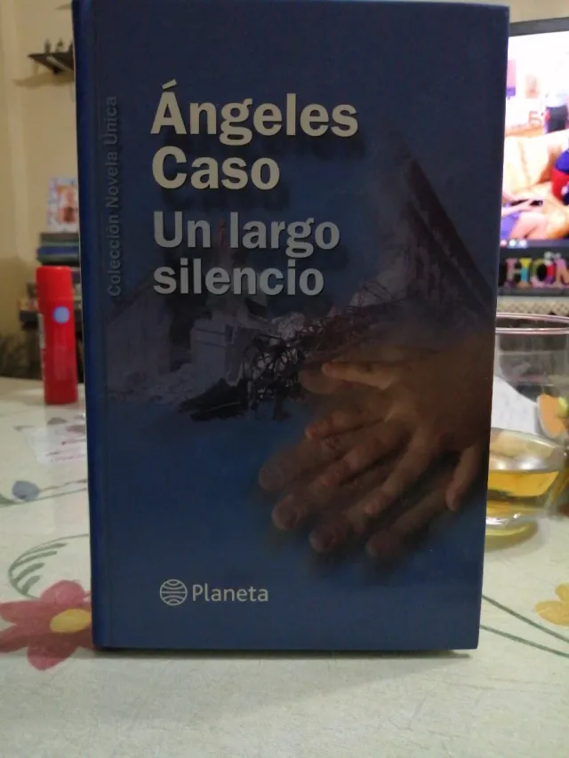 Un Largo Silencio