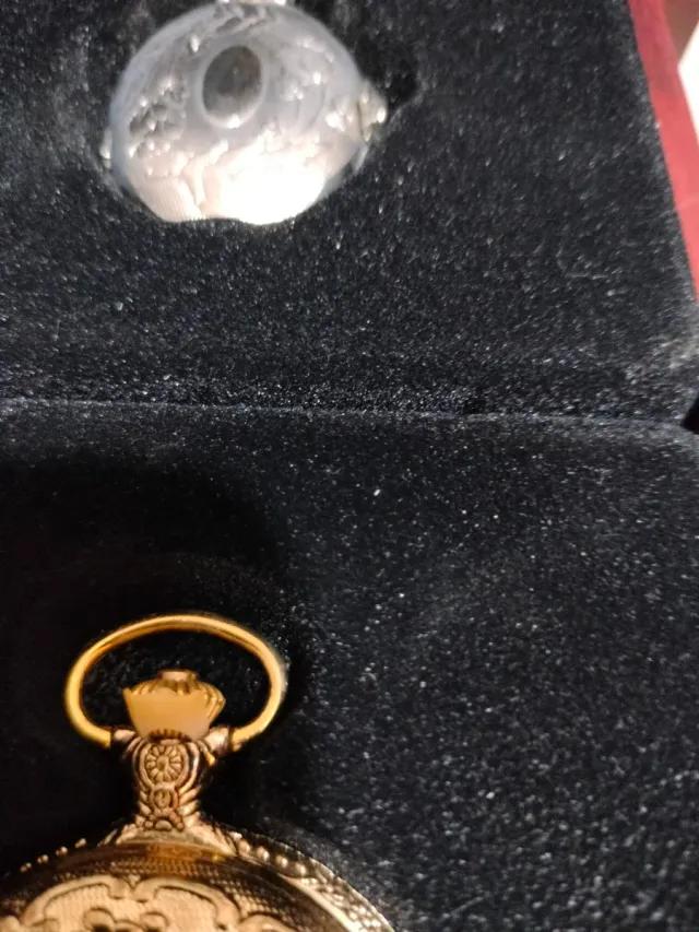 Colección 18 Relojes de Bolsillo