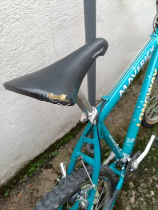 Bicicleta de Montaña