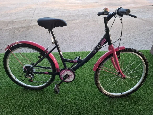 Bicicleta Paseo 24'' Hard Trail