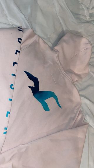 Sudadera Hollister Rosa con Logo Teal