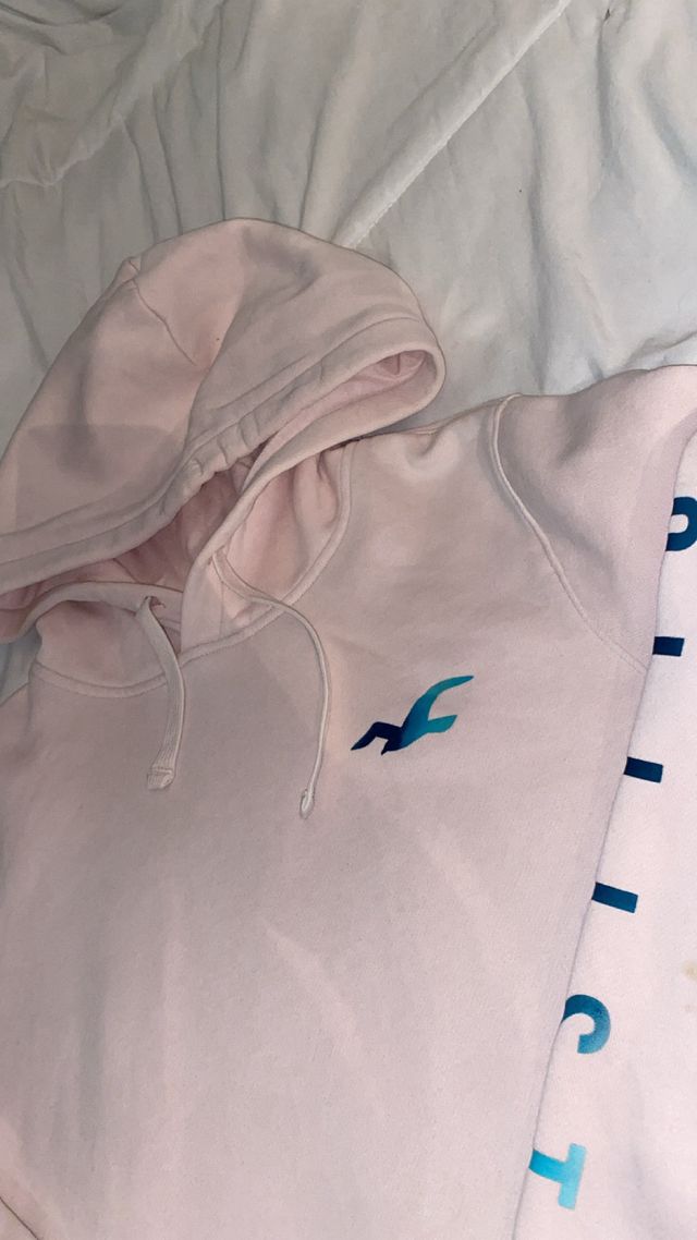 Sudadera Hollister Rosa con Logo Teal