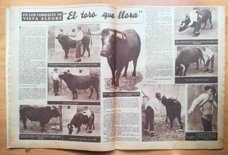 El ruedo No 642 - 11 de octubre de 1956. Belmonte.