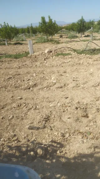 se ofrece chico para limpieza de terrenos