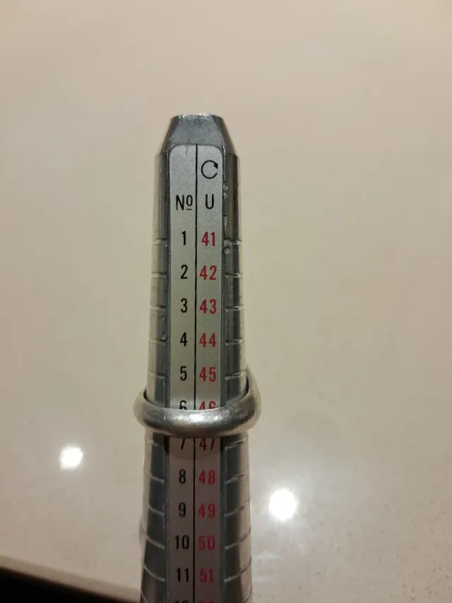 Anillo Sello Plata Grabado y Esculpido a Mano