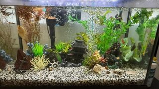 Pecera con filtro y mueble