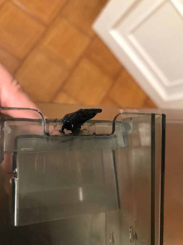 Desumidificador DeLonghi DEM 10