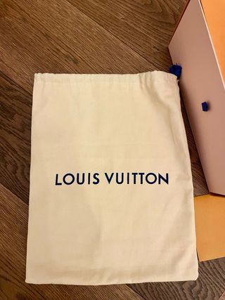 Louis Vuitton Skate grigie/bianche usate poco