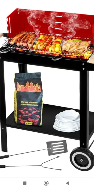 Barbecue a Carbone Rosso e Nero