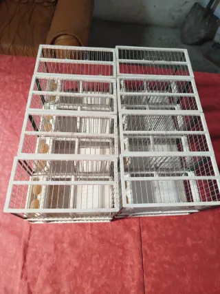 8 Jaulas Jilgueros Casi Nuevas