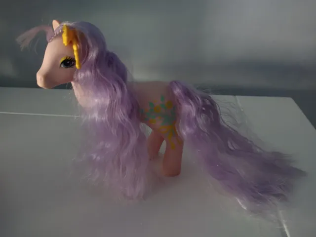 Il mio piccolo pony