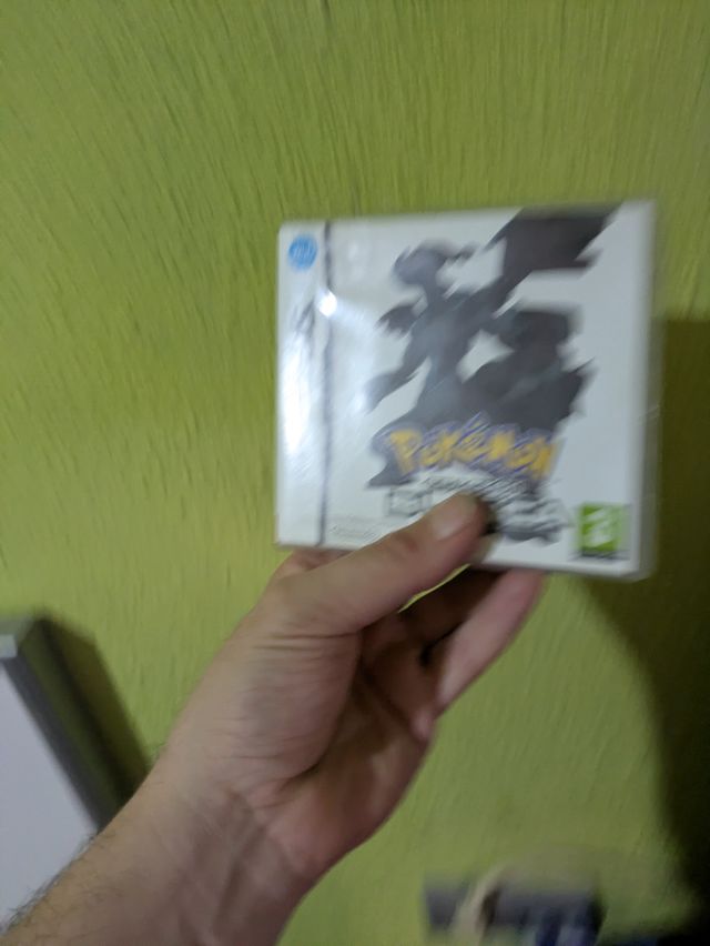 Nintendo DS con giochi e accessori