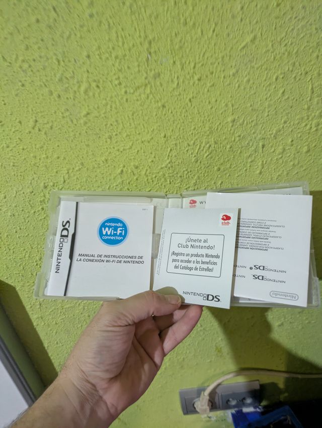 Nintendo DS con giochi e accessori