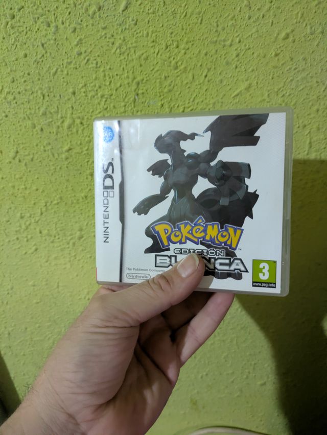 Nintendo DS con giochi e accessori