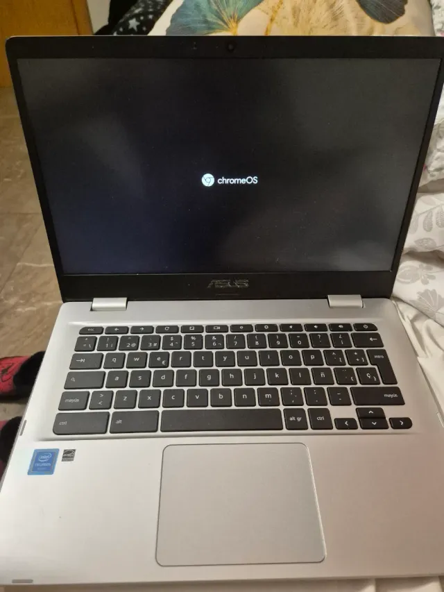 Chromebook ASUS Plata