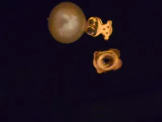 Pendientes Tous Perla y Oro