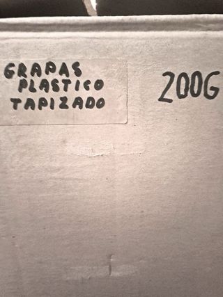 EAM8021 Embellecedor plastico Triumph Acclaim