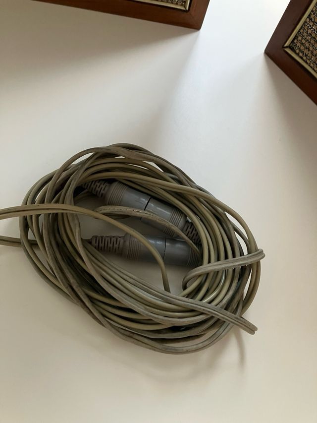 2 Altoparlanti Werner Vintage in Legno