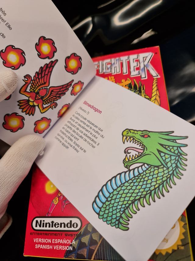 Manuale di Sostituzione Buran Fighter NES