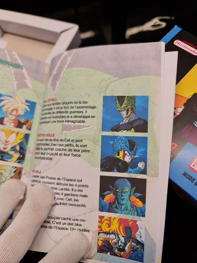 Manuale di Sostituzione Dragon Ball Z La Légende Saien