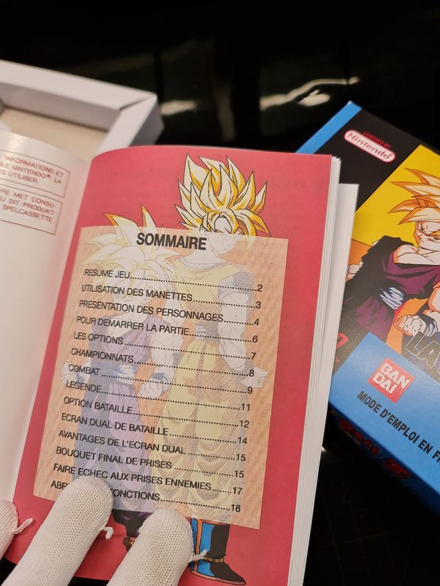 Manuale di Sostituzione Dragon Ball Z La Légende Saien