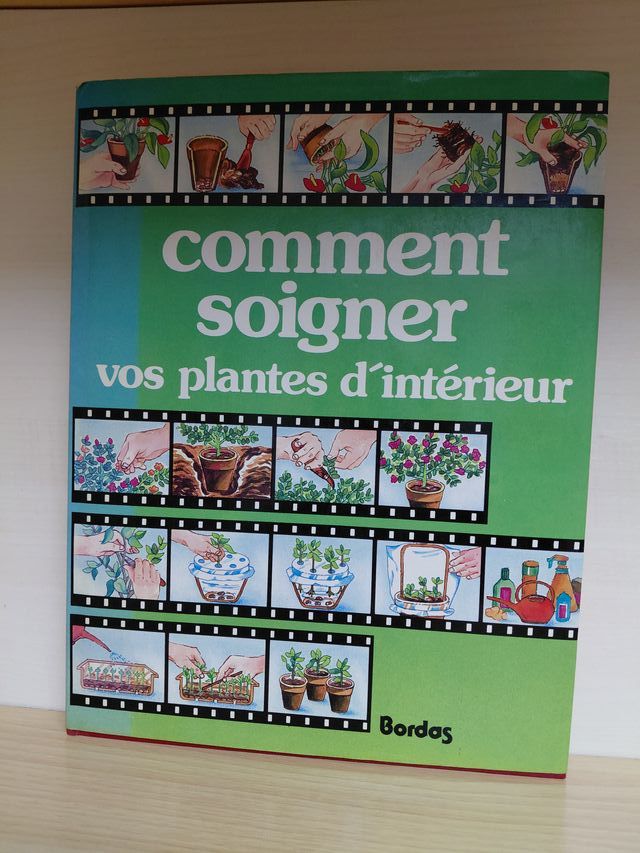 Comment soigner vos plantes d'interieur