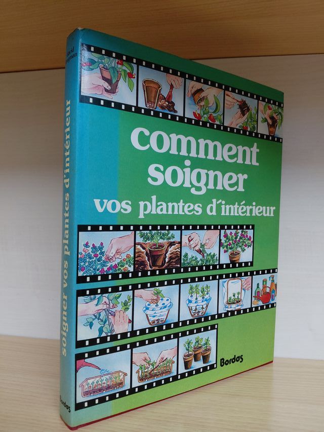 Comment soigner vos plantes d'interieur