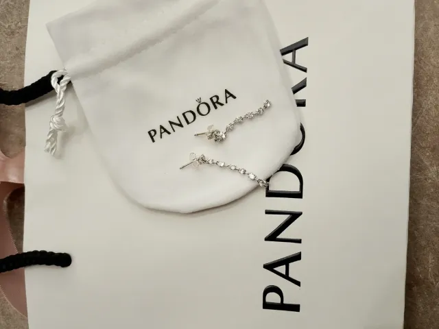 Orecchini Pandora Pavé Pendenti Lunghi Argento