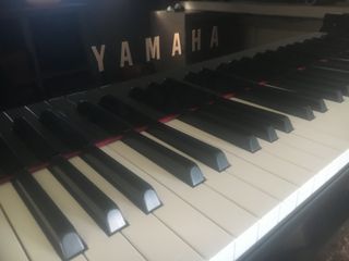 Piano híbrido Yamaha N1X AvantGrand