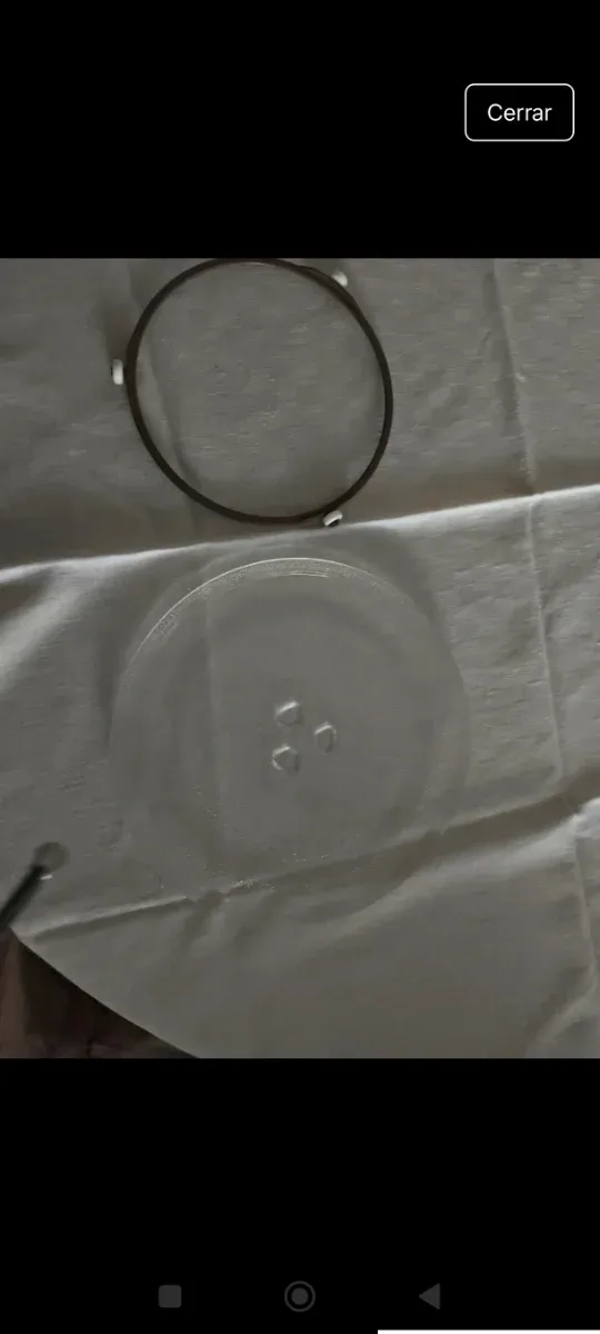 Plato y aro giratorio microondas