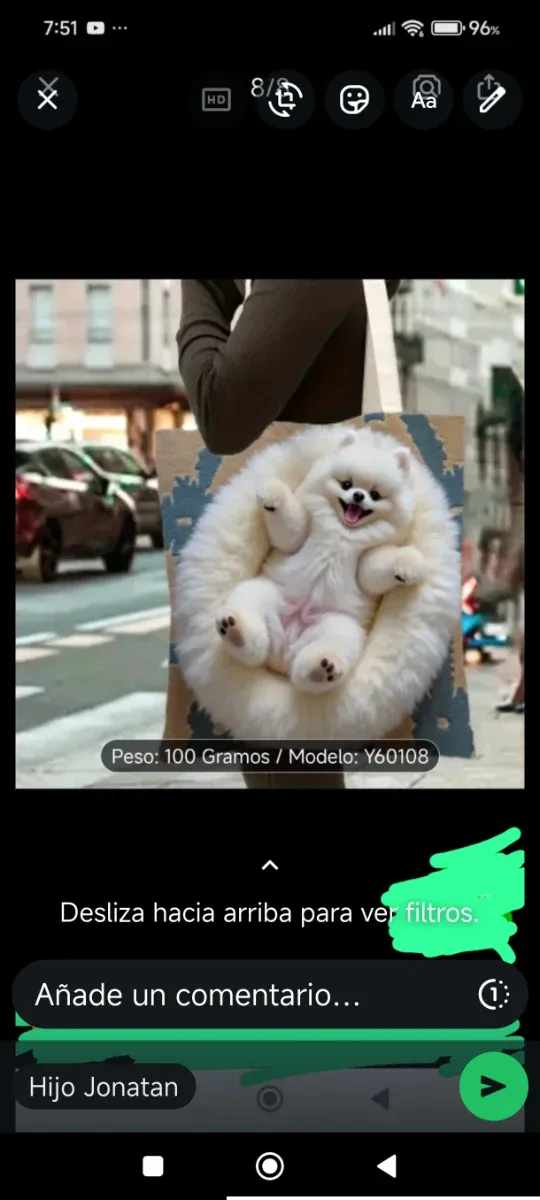 Bolso Cavalli Class Beige y Negro