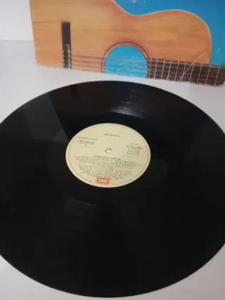 Vinilo Bordon 4 Colores Latino