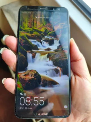 Huawei Mate 10 Lite usato
