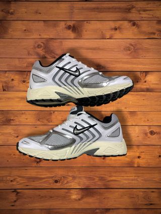 Nike Air Pegasus 2005 Plata Y2K