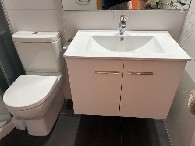 Inodoro y lavabo de baño