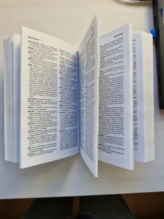 Diccionario Esencial de la Lengua Española (Spa...