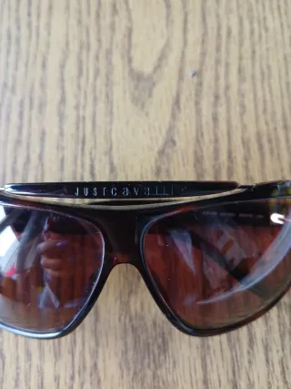 Occhiali da sole Just Cavalli neri/marrone