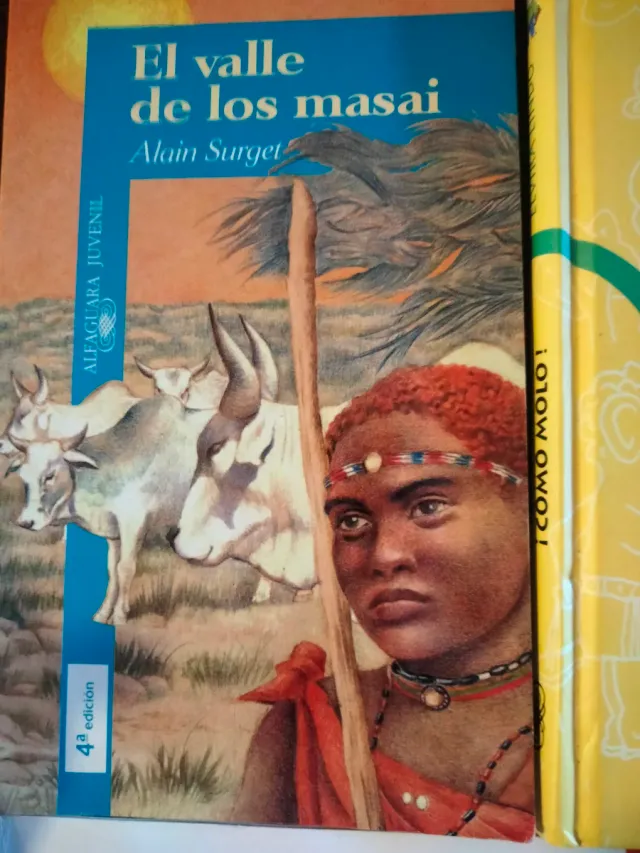 REGALE NOVELAS JUVENILES PARA NAVIDAD