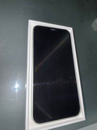 iPhone 12 Mini 256GB Verde Pastello