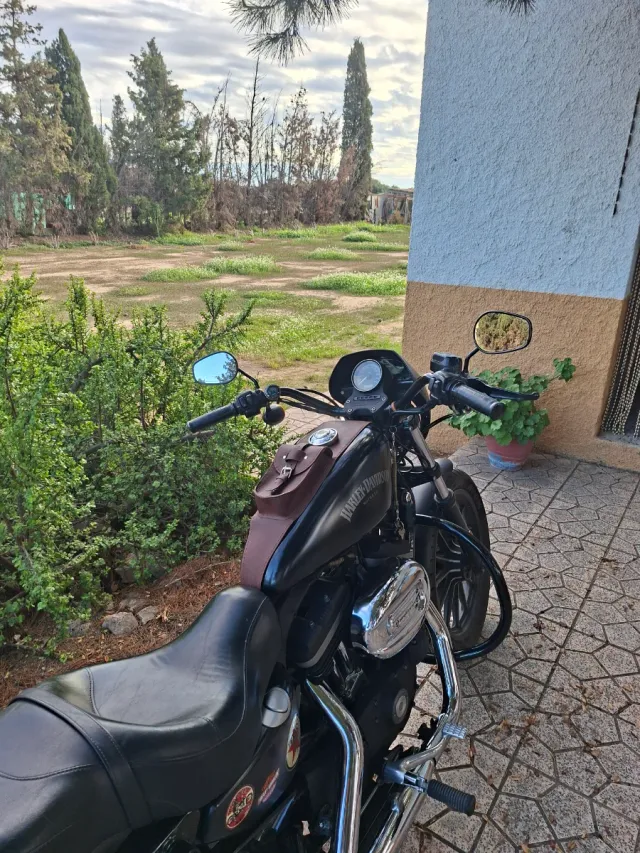 Corbata cuero Harley Davidson, CUSTOM.