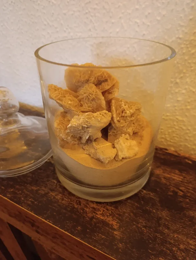 Jarrón con Rosas del Desierto y Arena