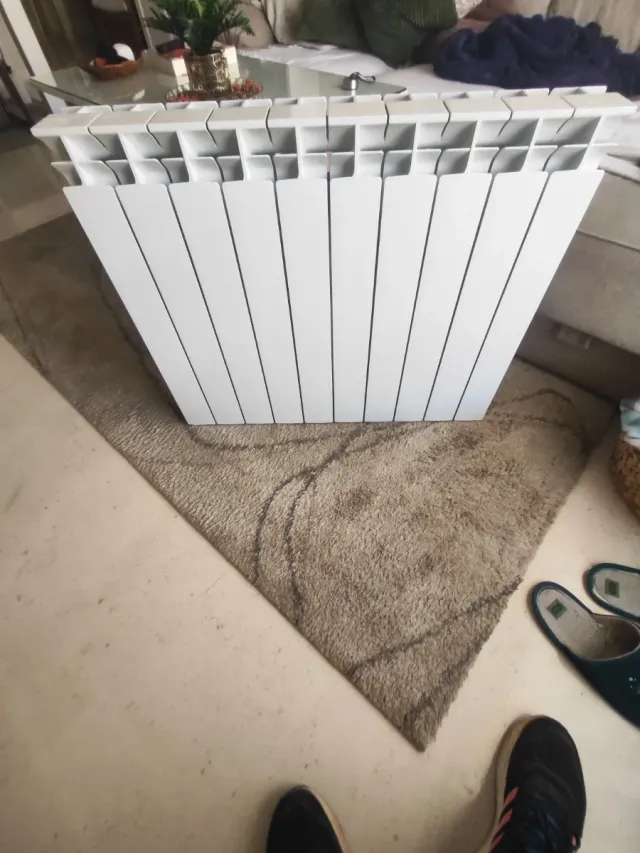 Radiador agua 10 elementos blanco